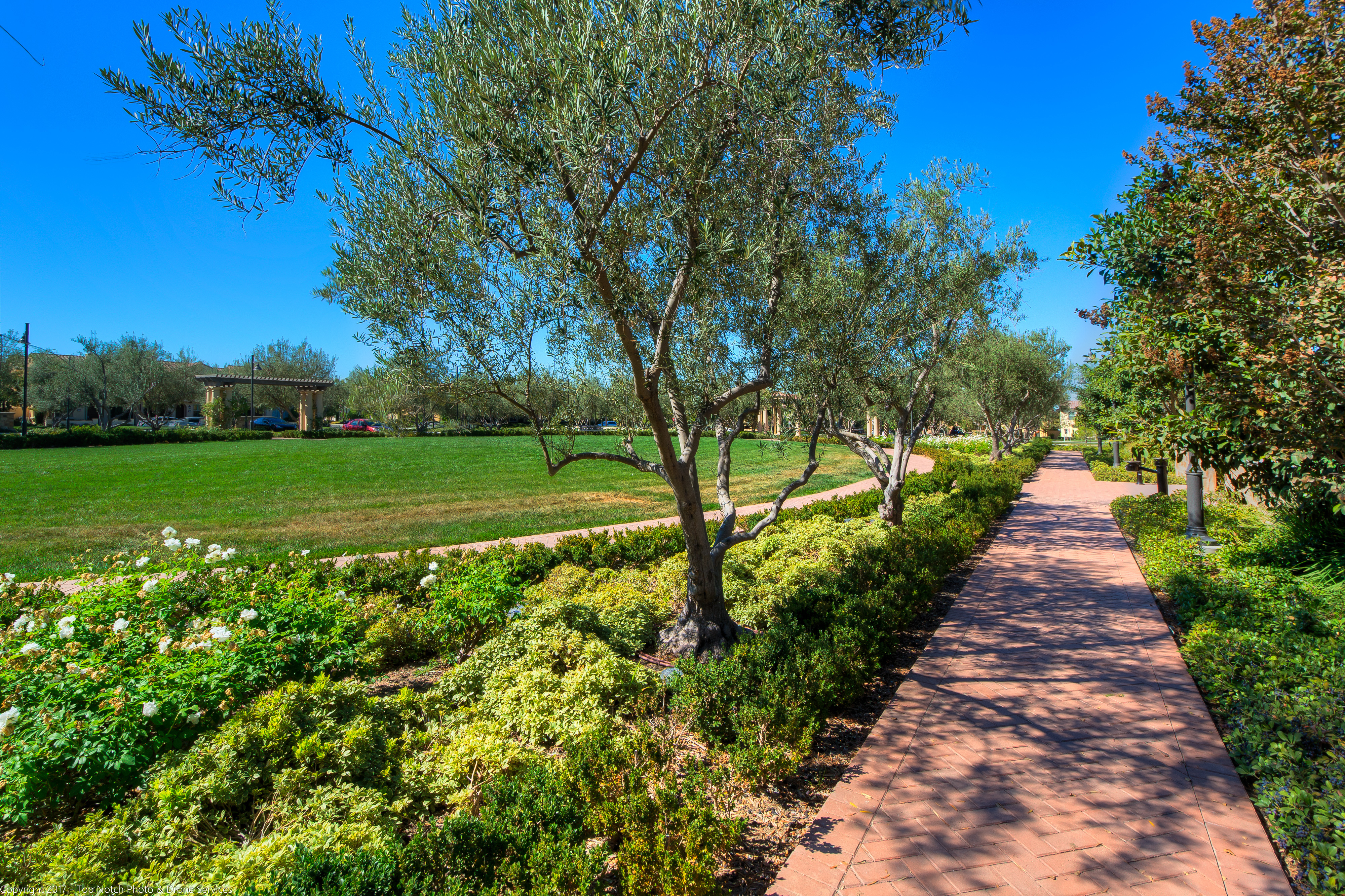 A brick walkway runs beside green shrubs and trees, with a large grassy field and clear blue sky visible in the background. - Four Seasons Landscaping