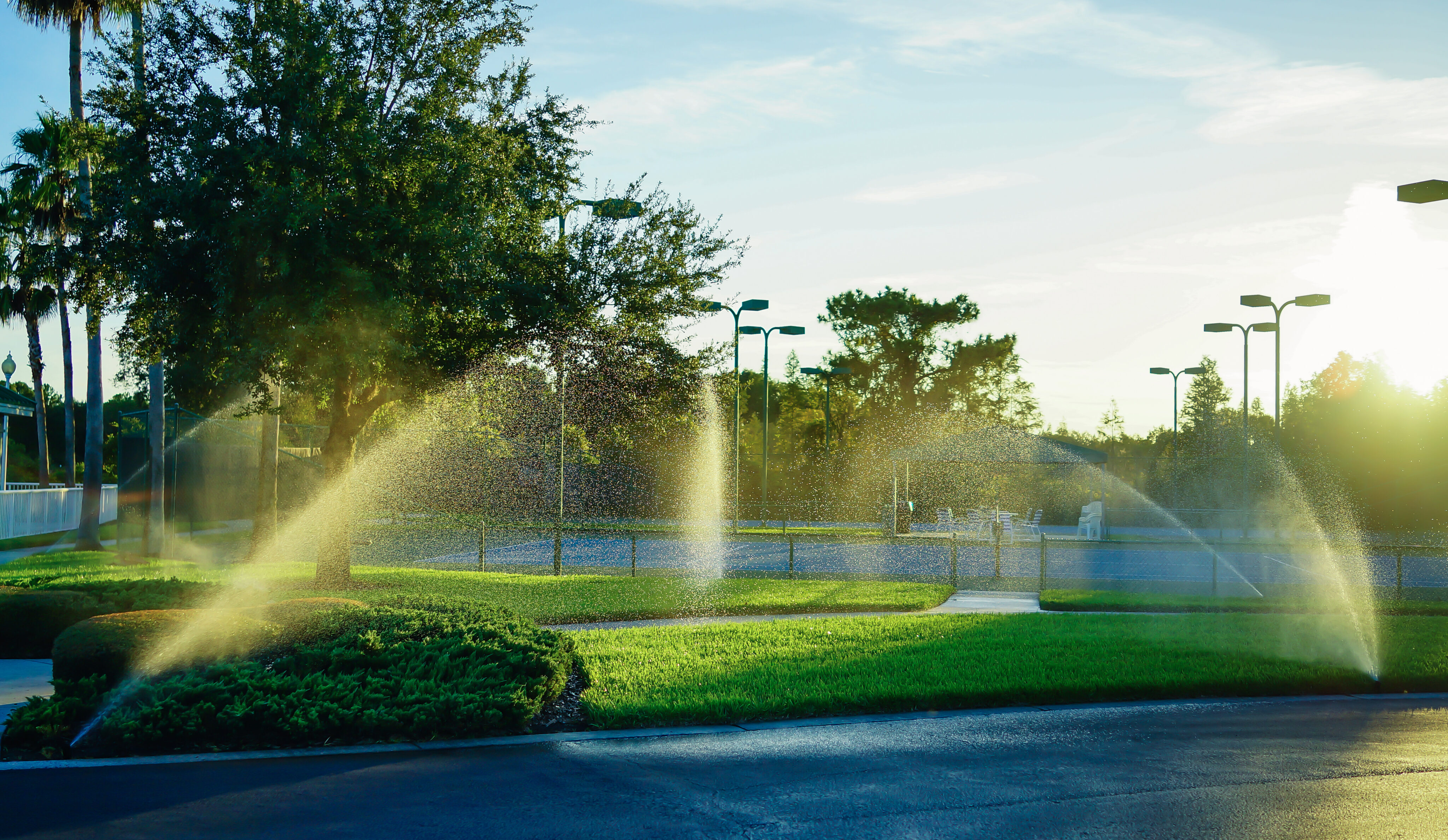 Automatic sprinklers watering green grass near a tennis court at sunrise, with trees and trimmed bushes in the background. - Four Seasons Landscaping
