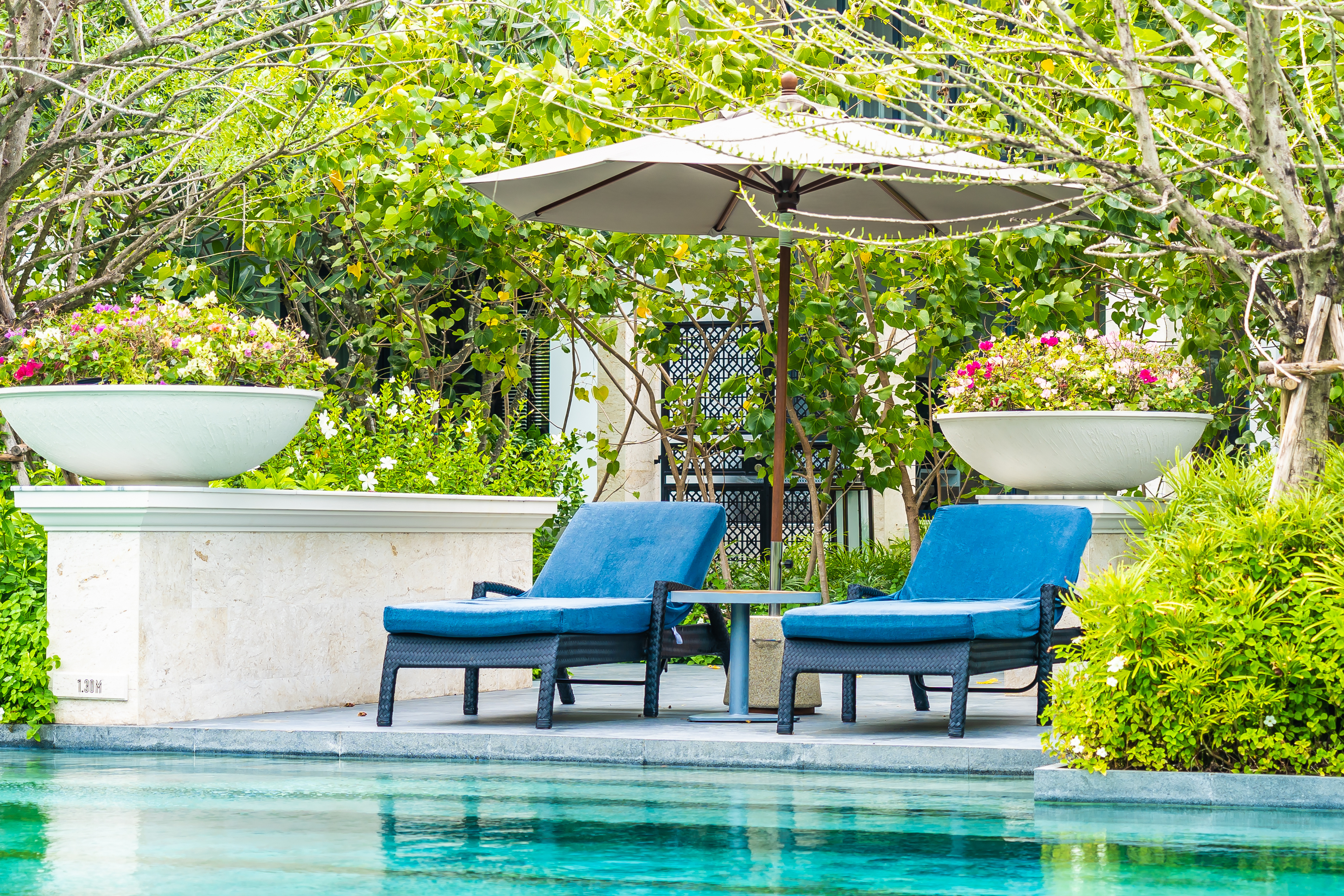 Two blue lounge chairs sit by a pool under a large umbrella, surrounded by greenery and large potted plants. - Four Seasons Landscaping